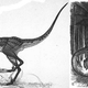 Illustration for article titled 30 Real Animals with Science Fiction Names